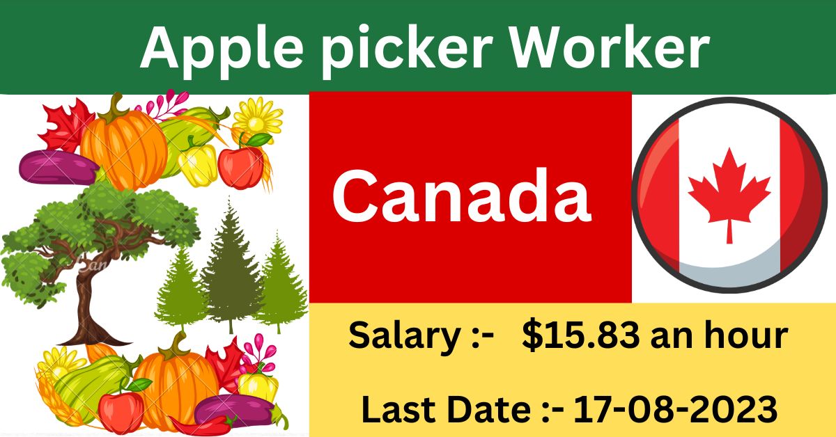 Apple picker Canada