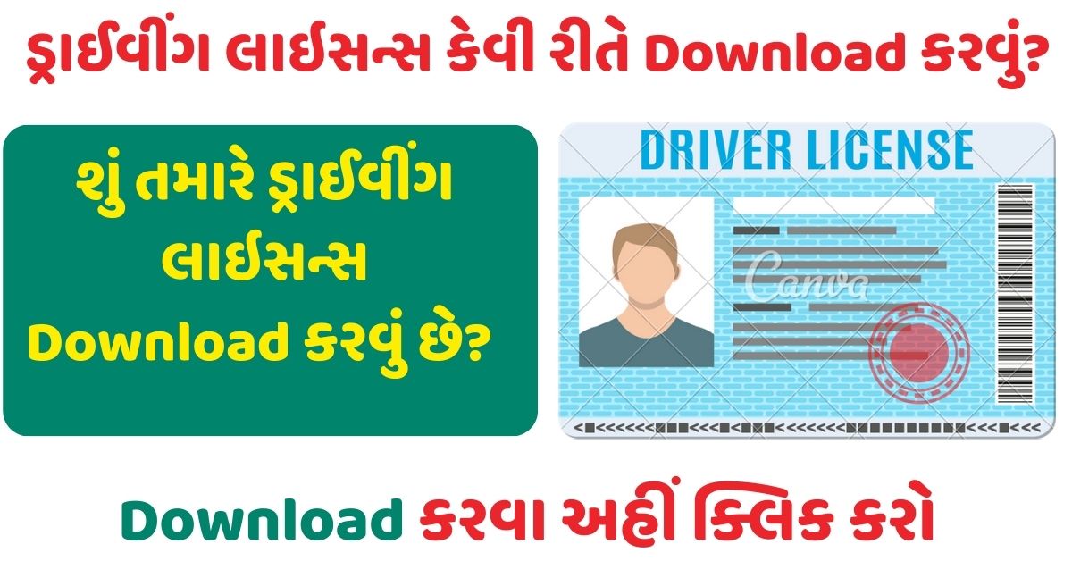 How To Download Driving License
