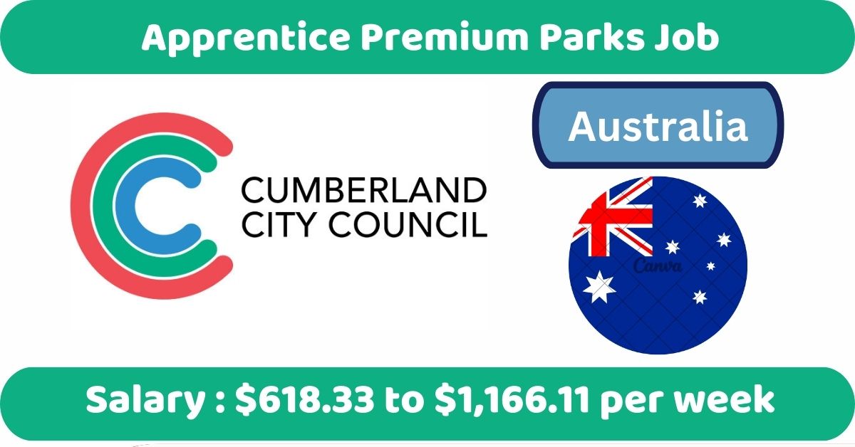 Apprentice Premium Parks Job