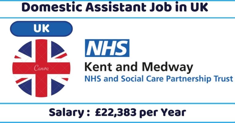 Domestic Assistant Job in UK